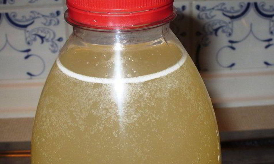 Рецепт кваса для нас