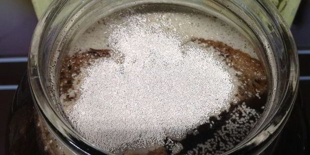 квас для настроения велкам ту шамбала