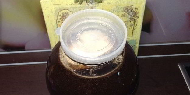 квас для настроения велкам ту шамбала