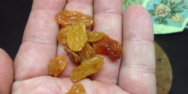 квас для настроения велкам ту шамбала