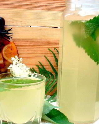 Квас из бузины