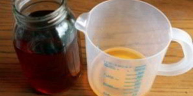 квас из гриба