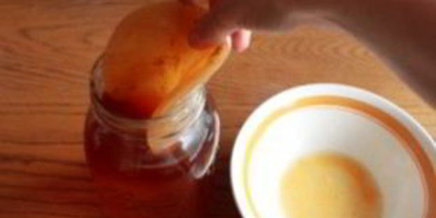 квас из гриба