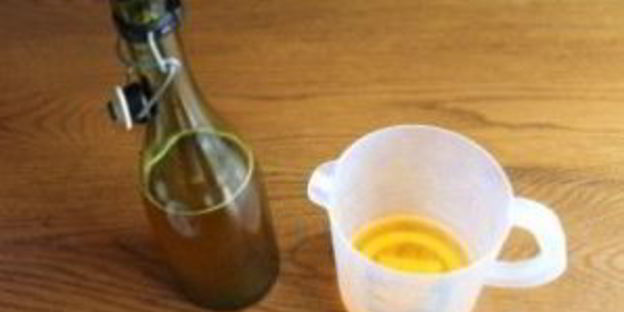 квас из гриба