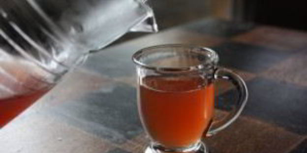 квас из гриба