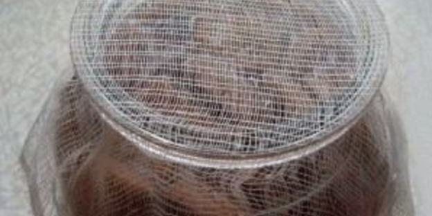 квас из квасного сусла