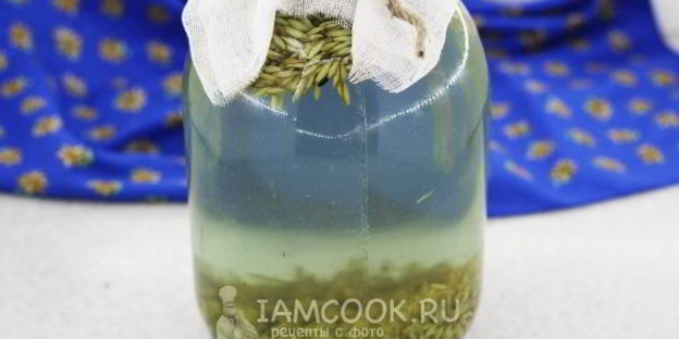 квас из овса