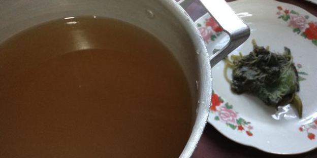 квас из ревеня