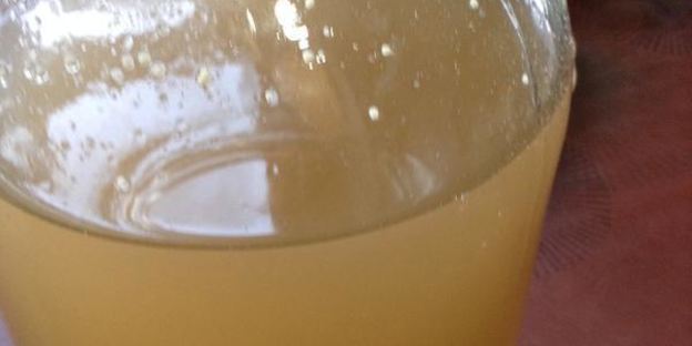 квас из ревеня