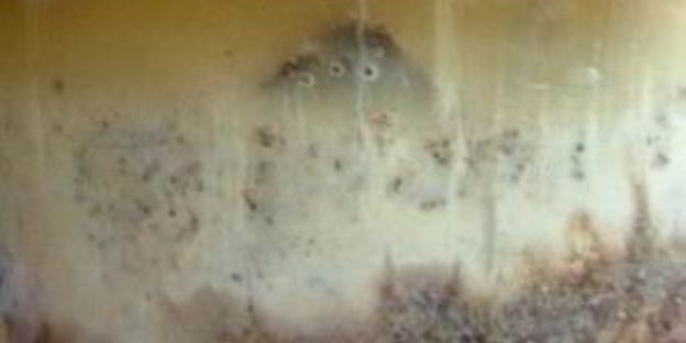 квас из ржаного солода