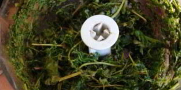 квас из виноградных листьев