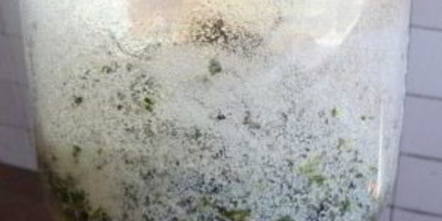 квас из виноградных листьев