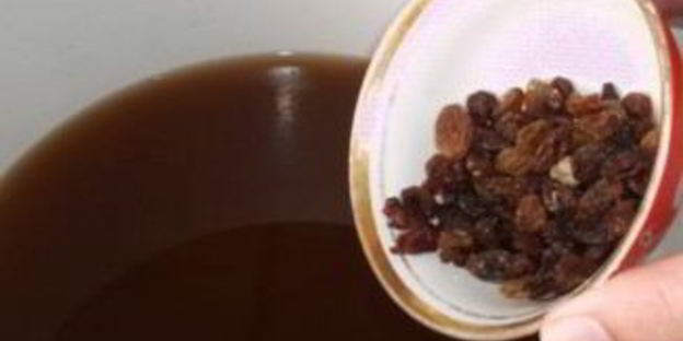 квас на солоде без дрожжей