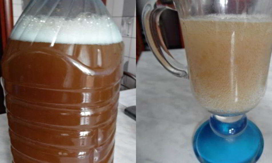 Рецепт кваса за 2 часа