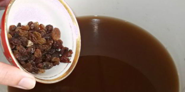 квас за 2 часа