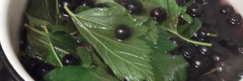 Ликер Арника