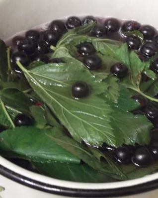 Ликер Арника