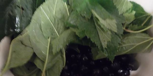 ликер арника