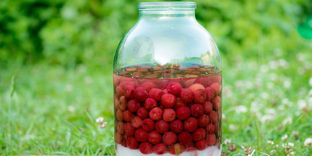 вишневый ликер на вишне с косточками