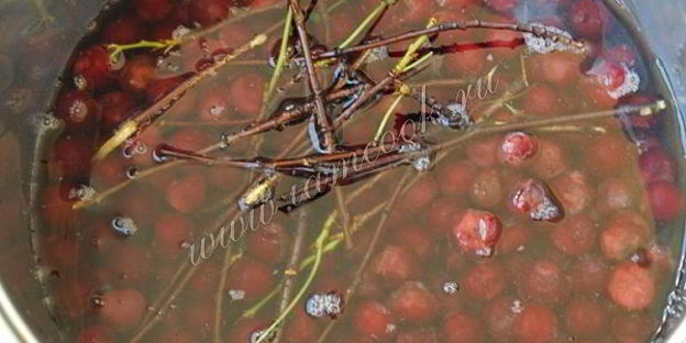 вишневый ликер