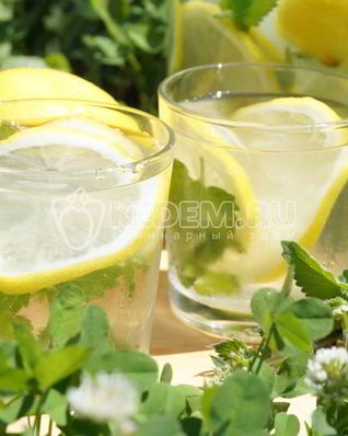 Домашний лимонад с лимоном и мятой