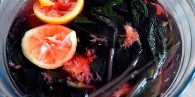 лимонад базилик&компания