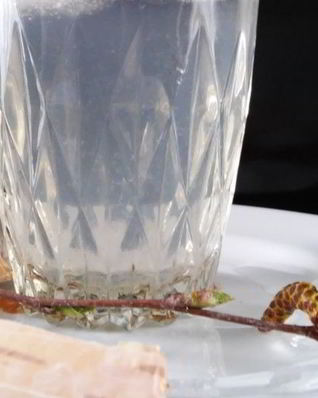 Лимонад из березового сока