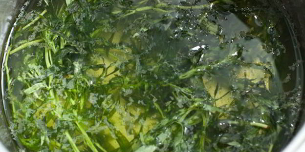 лимонад из грейпфрута и тархуна