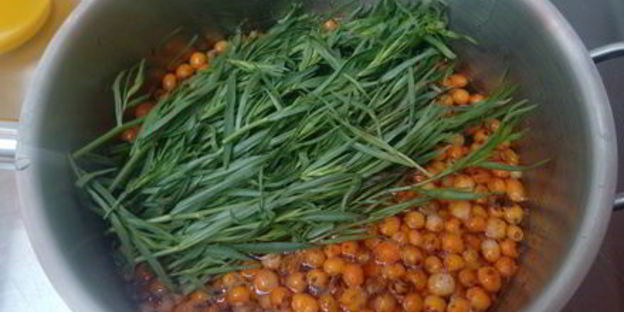 лимонад из тархуна и облепихи