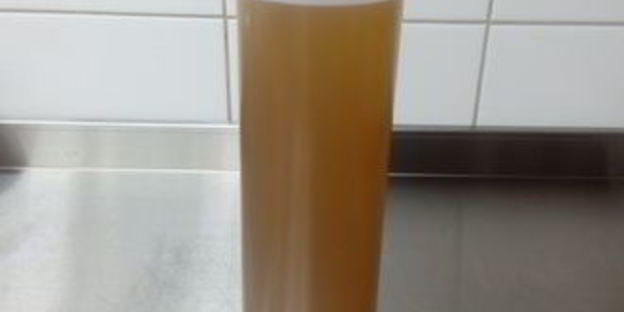 лимонад из тархуна и облепихи