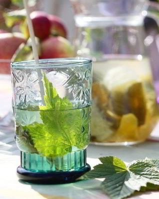 Лимонад с листьями смородины и мяты