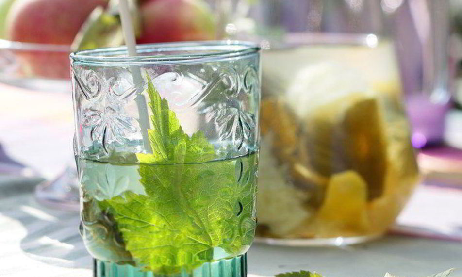 Рецепт лимонада с листьями смородины и мяты