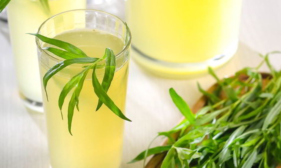 Рецепт лимонада с тархуном
