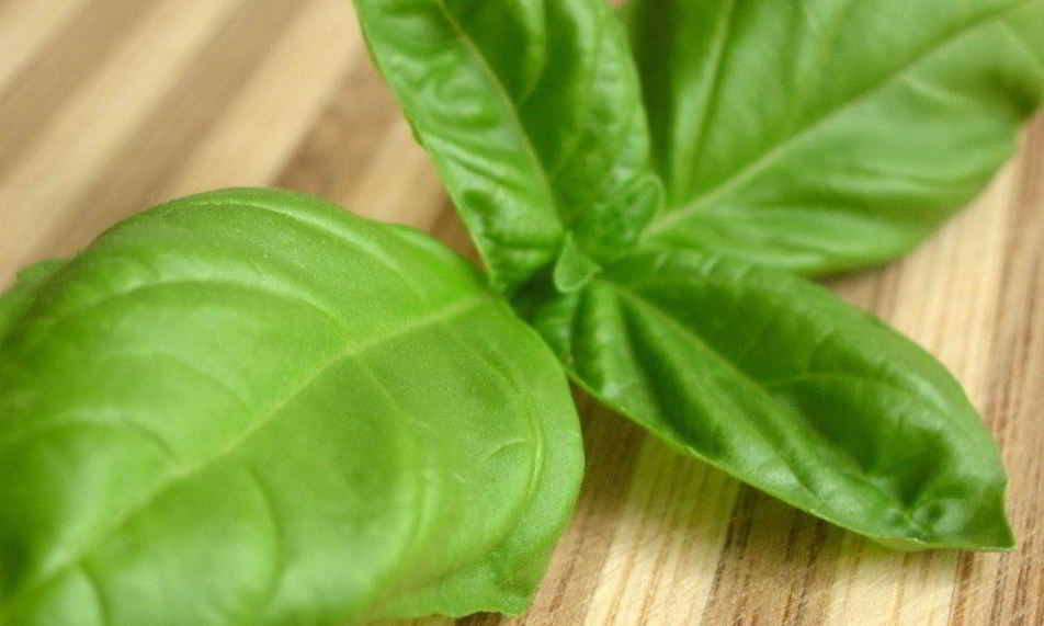 Рецепт свежего базиликового лимонада