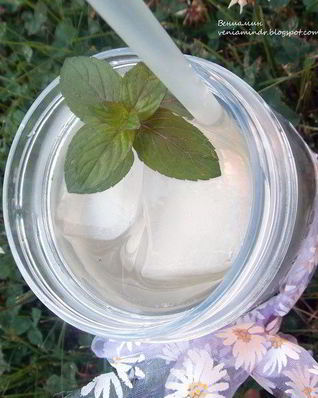 Турецкий мятный лимонад