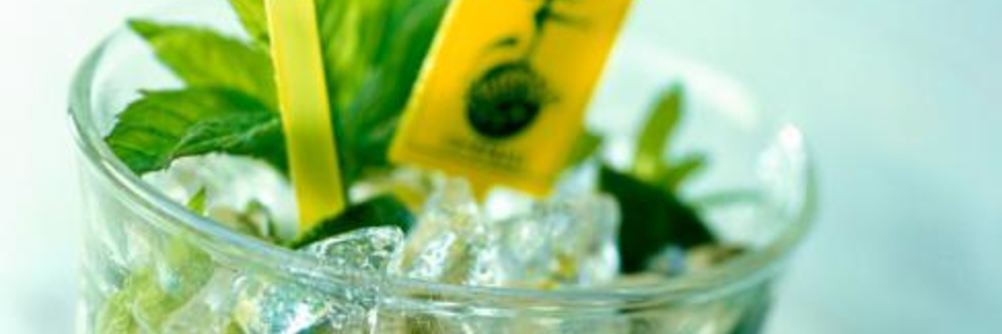 Коктейль Мохито