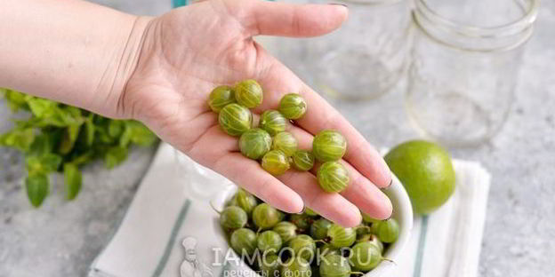 мохито из крыжовника