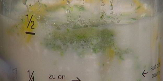 молочный коктейль с манго