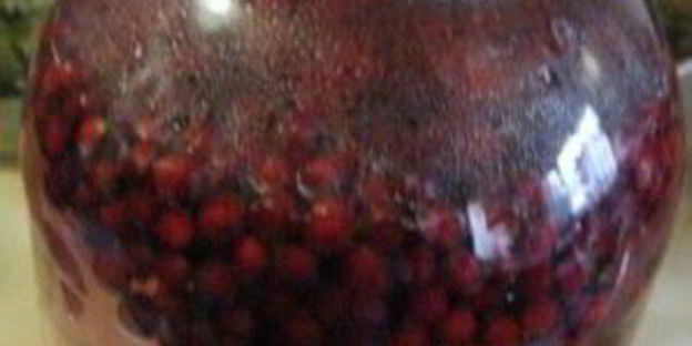 брусничный морс