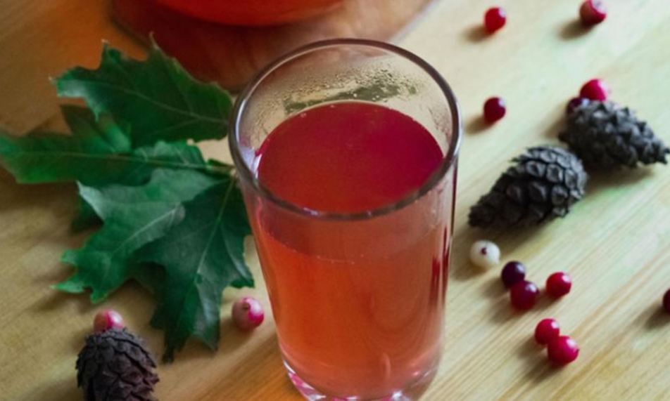 Рецепт домашнего клюквенного морса