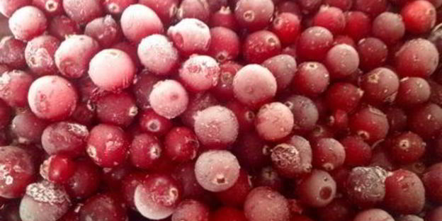 клюквенный морс витаминчик