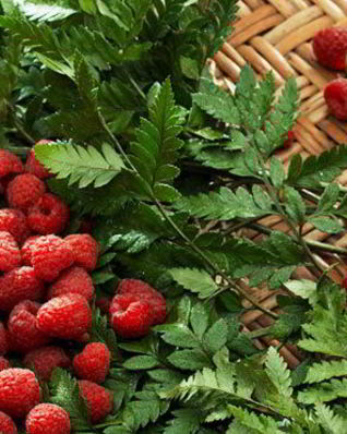 Малиновый морс