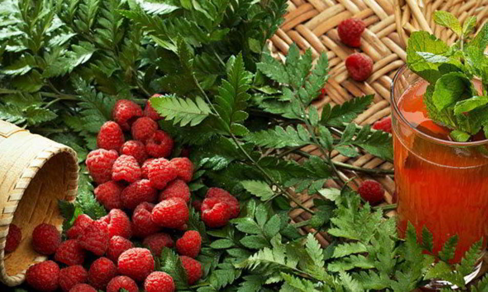 Рецепт малинового морса