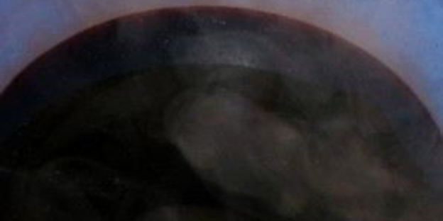 морс из черники