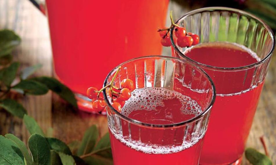 Рецепт морса из черноплодной рябины с медом