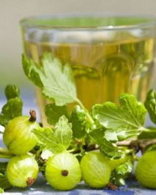 Наливка из крыжовника