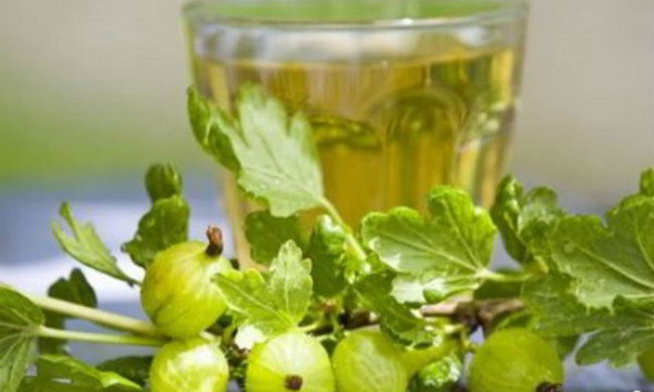 Рецепт наливки из крыжовника