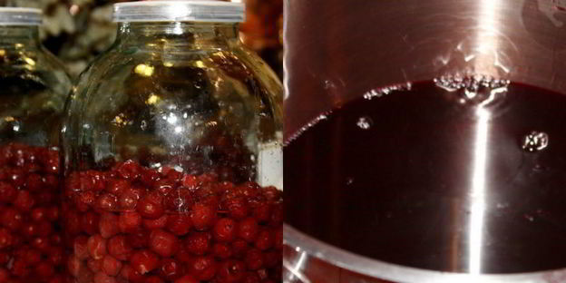 вишневая наливка