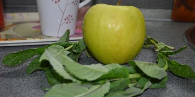 напиток с мелиссой и крыжовником