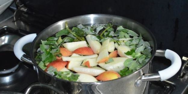 напиток с мелиссой и крыжовником